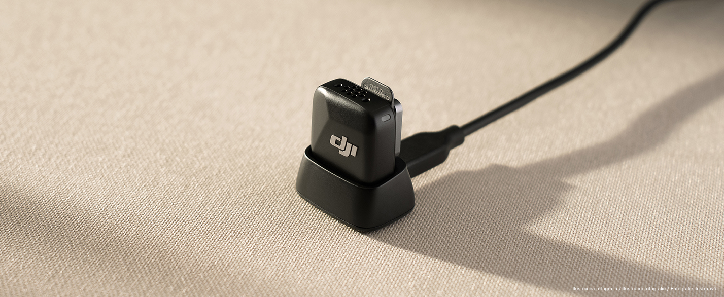 Mic_Mini_SK-10